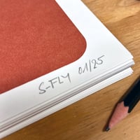 Image 5 of S-FLY WALK OF FAME (SILKSCREEN PRINT) (RED)