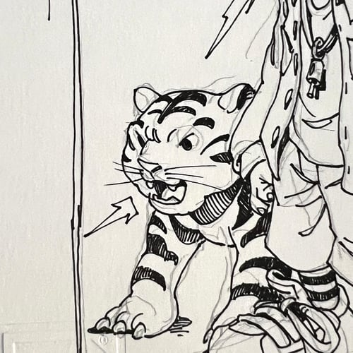 Image of TIGERS DRAWING