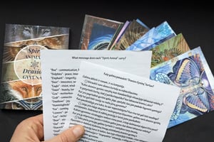 Image of SPIRIT ANIMAL 24 card set/ DVASIOS GYVŪNAI 24 atvirukų rinkinys