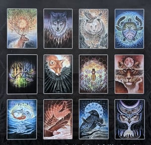 Image of SPIRIT ANIMAL 24 card set/ DVASIOS GYVŪNAI 24 atvirukų rinkinys