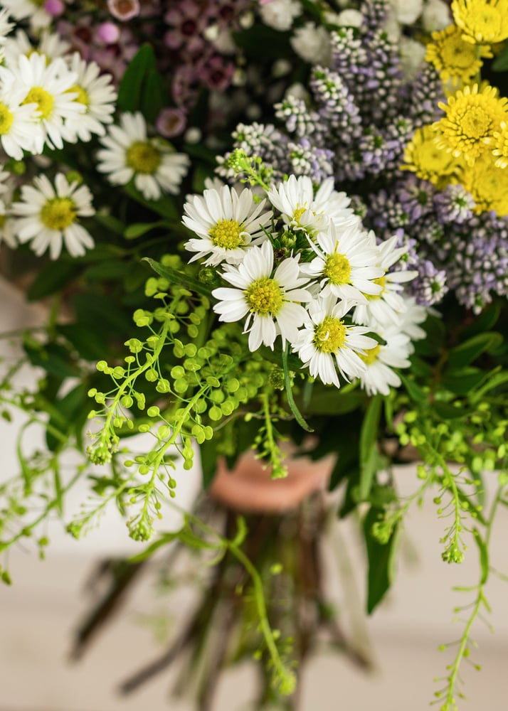 Image of Ramo silvestre