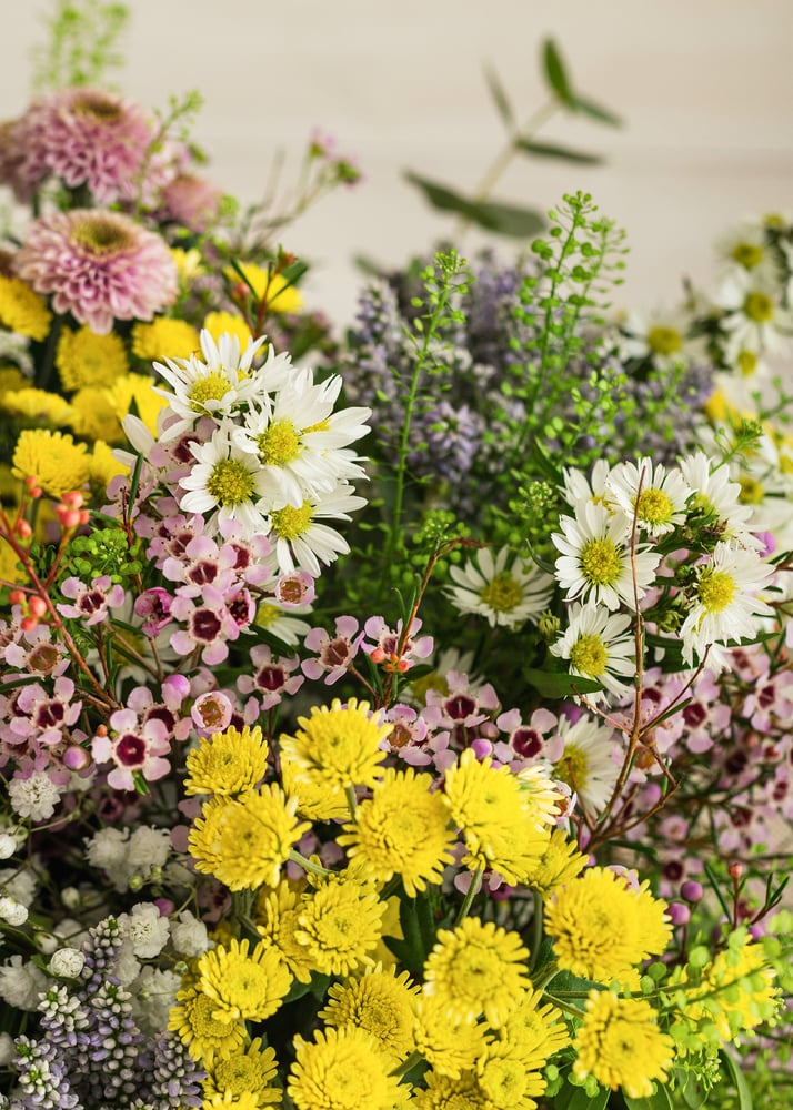 Image of Ramo silvestre