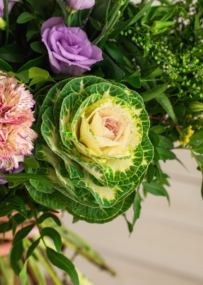 Image of Ramo orgánico