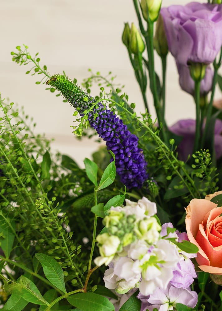 Image of Ramo orgánico