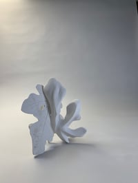 Image 1 of deux empreintes de feuille de figuier