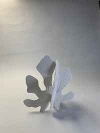 Image 3 of deux empreintes de feuille de figuier