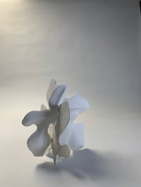 Image 2 of deux empreintes de feuille de figuier