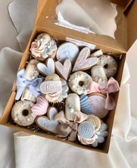 Image 1 of Shells And Pastel Mix