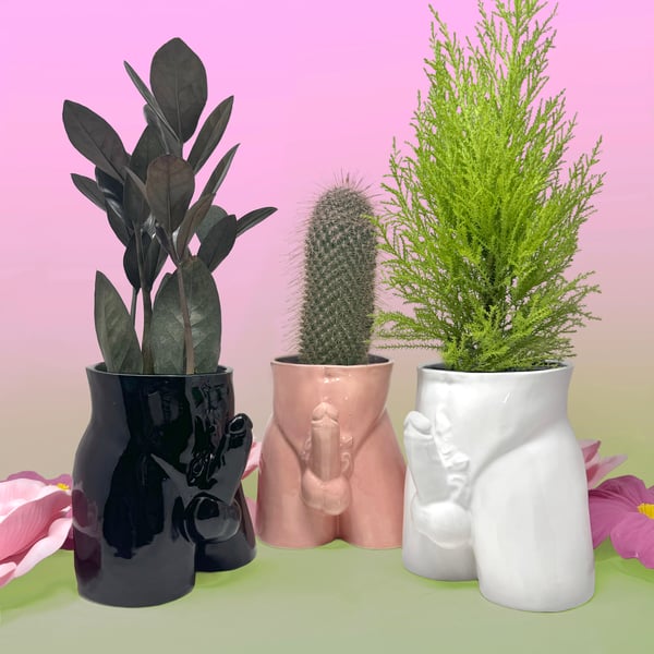Image of Balls out Locker Room Planters