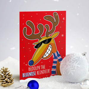 Image of Rudolph The Bluenose Reindeer