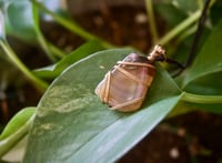 Image 1 of Agate Crystal Necklace