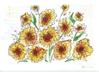 Wild Yellow