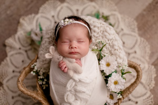 Image of Black Friday Newborn Discount