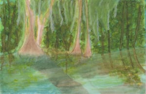 Image of Lowcountry Watercolor Paintings