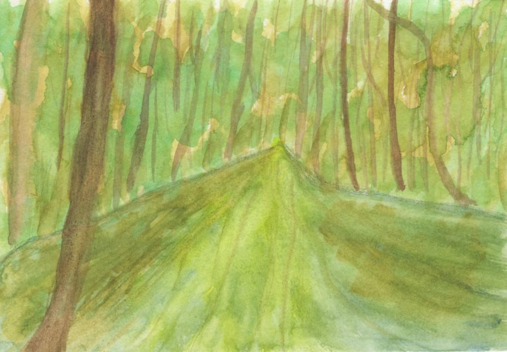 Image of Lowcountry Watercolor Paintings