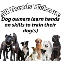 Owner & Dog training package