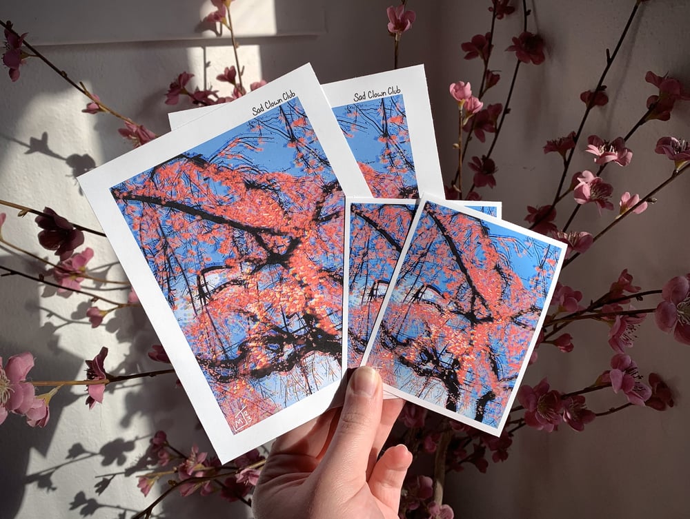 Image of "Cherry Blossom" Print / Sticker
