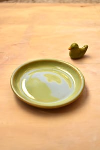 Image 1 of Little Ducky Swimming in a Dish