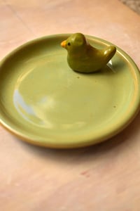 Image 2 of Little Ducky Swimming in a Dish