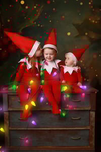 Image 4 of 2025 Elf on the Shelf Christmas mini session Deposit