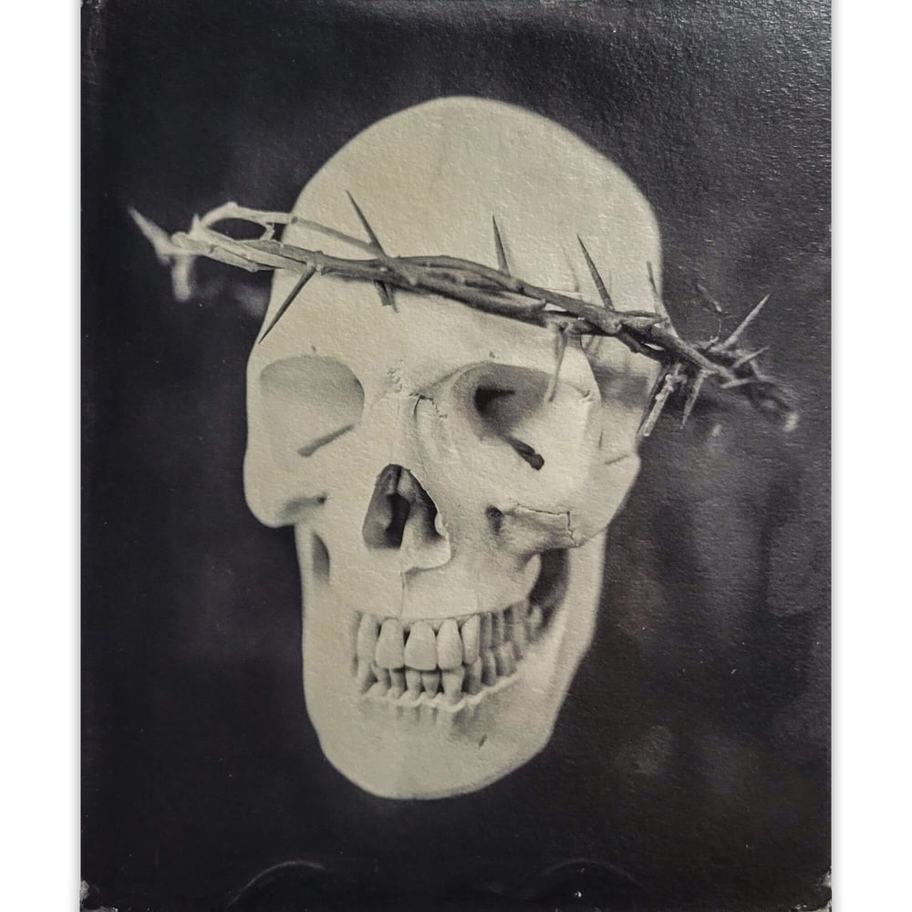 Skull & Thorns - Metallic Print