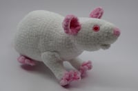 Image 2 of The Chunkiest Rat