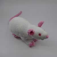 Image 4 of The Chunkiest Rat