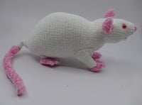 Image 3 of The Chunkiest Rat
