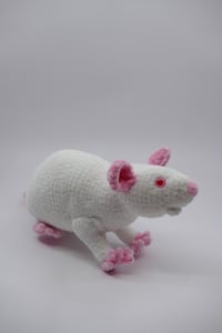 Image 1 of The Chunkiest Rat