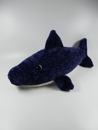 Image 1 of Shark!