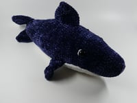 Image 2 of Shark!