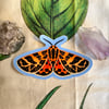Small Tiger Moth Sticker