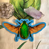 Holographic Figeater Beetle in Flight Sticker