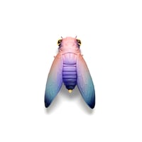 Image 1 of Cicada (pink) by Calvin Ma X Erika Sanada