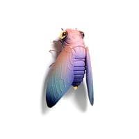 Image 3 of Cicada (pink) by Calvin Ma X Erika Sanada