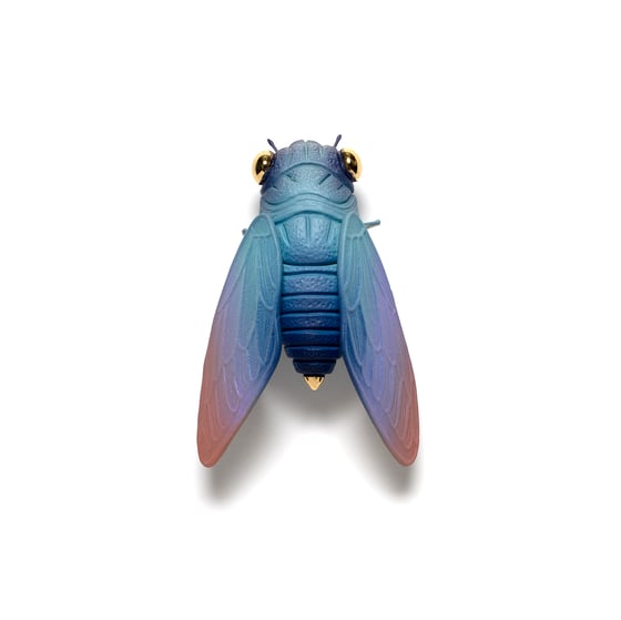 Image of Cicada (teal) by Calvin Ma X Erika Sanada