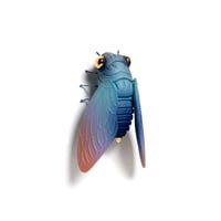 Image 3 of Cicada (teal) by Calvin Ma X Erika Sanada