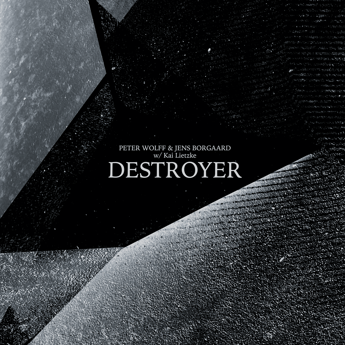 Image of Destroyer Vinyl