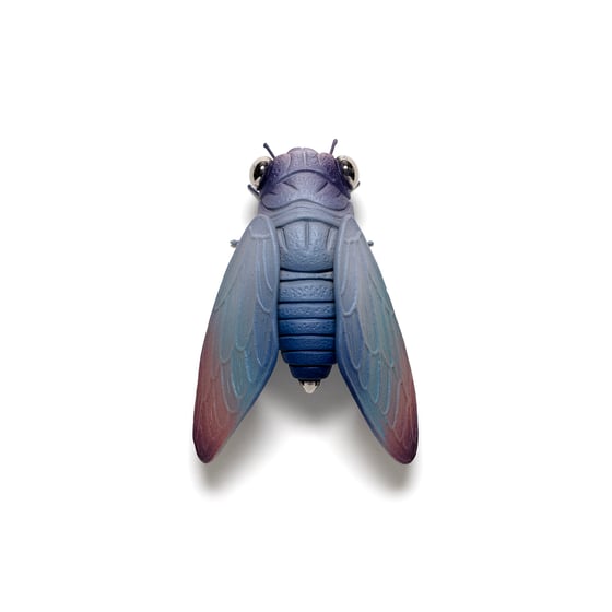 Image of Cicada (ash) by Calvin Ma X Erika Sanada