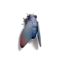 Image 3 of Cicada (ash) by Calvin Ma X Erika Sanada