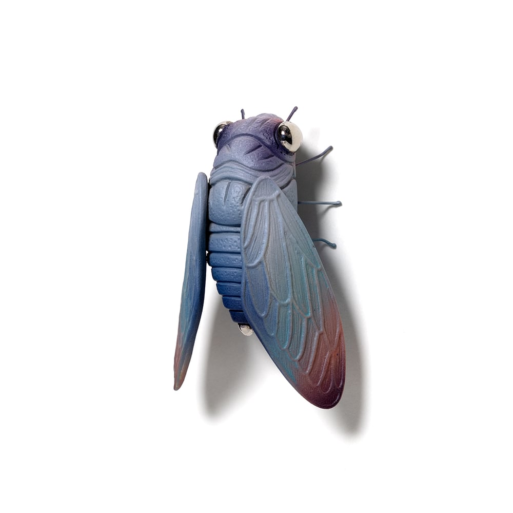 Image of Cicada (ash) by Calvin Ma X Erika Sanada