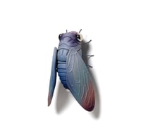 Image 2 of Cicada (ash) by Calvin Ma X Erika Sanada