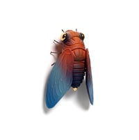 Image 3 of Cicada (red) by Calvin Ma X Erika Sanada
