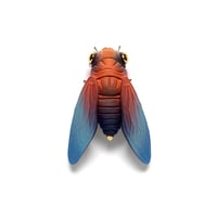 Image 1 of Cicada (red) by Calvin Ma X Erika Sanada