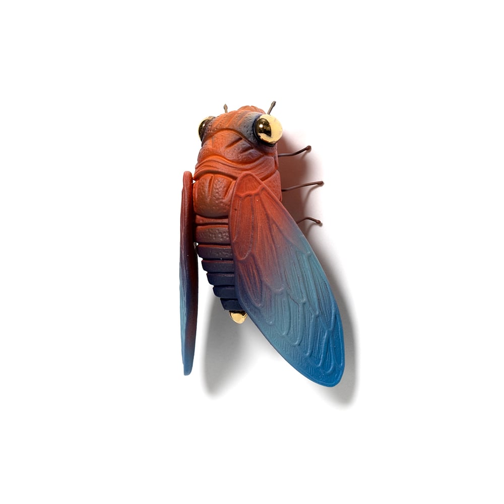 Image of Cicada (red) by Calvin Ma X Erika Sanada