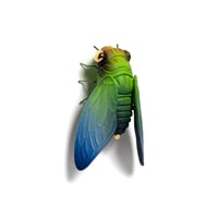 Image 3 of Cicada (green) by Calvin Ma X Erika Sanada