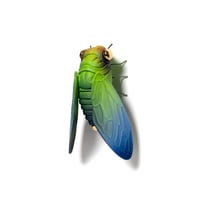 Image 2 of Cicada (green) by Calvin Ma X Erika Sanada