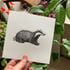 Little Badger Image 3