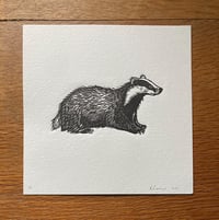 Image 1 of Little Badger