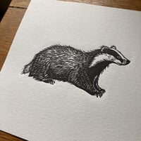 Image 4 of Little Badger